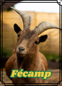 Fécamp
