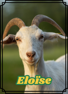 Eloïse