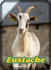 Eustache