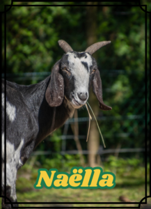 Naëlla
