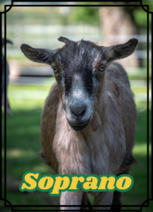 Soprano