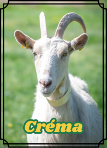 Créma