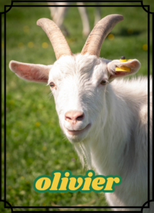 Olivier
