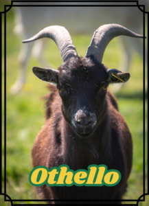Othello